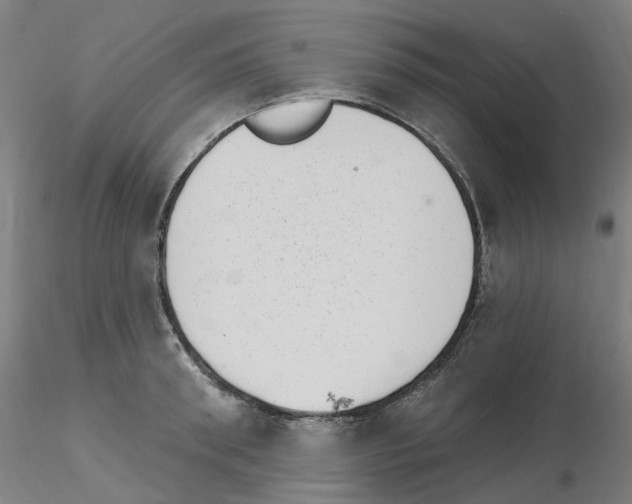 X0000115650898200912221328