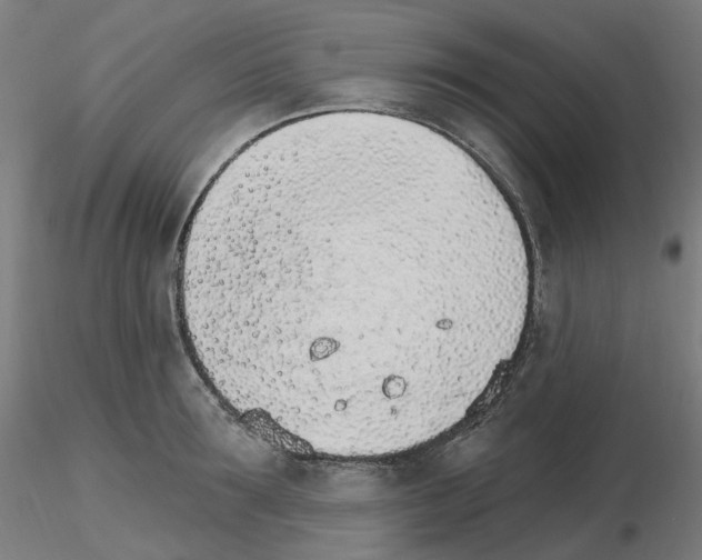 X0000115650899200912221328
