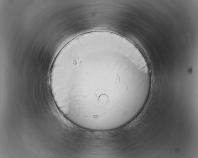 X0000115650900200912221328
