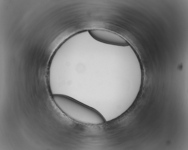 X0000115650901200912221328