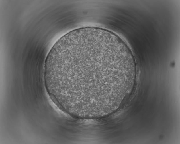X0000115650903200912221328