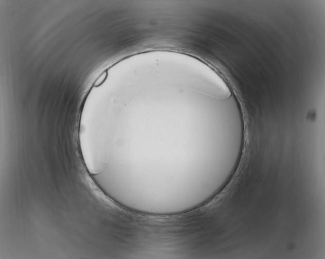 X0000115650904200912221328