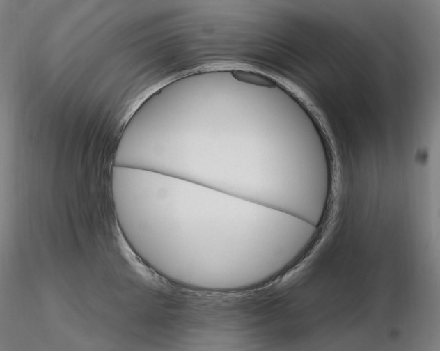X0000115650905200912221328