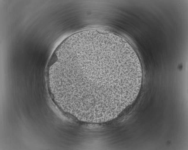 X0000115650907200912221328