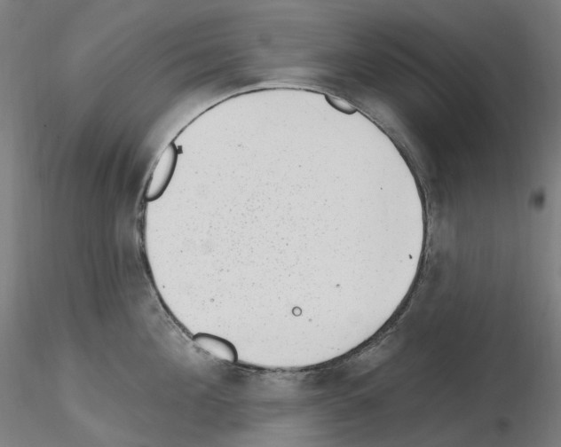 X0000115650908200912221328