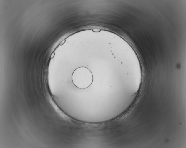 X0000115650909200912221328
