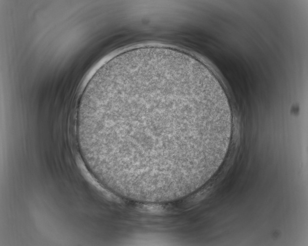 X0000115650911200912221328