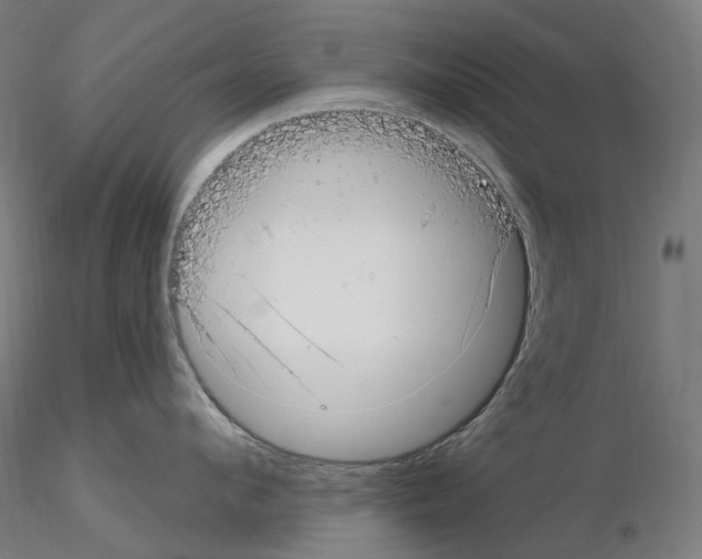 X0000115650912200912221328