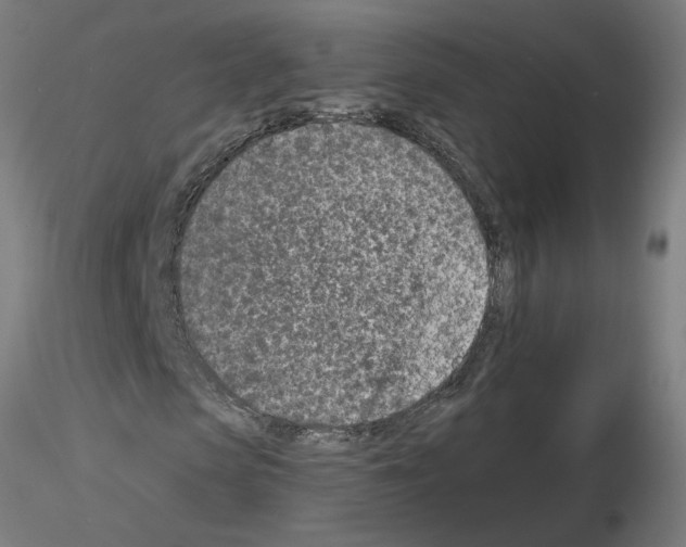 X0000115650913200912221328