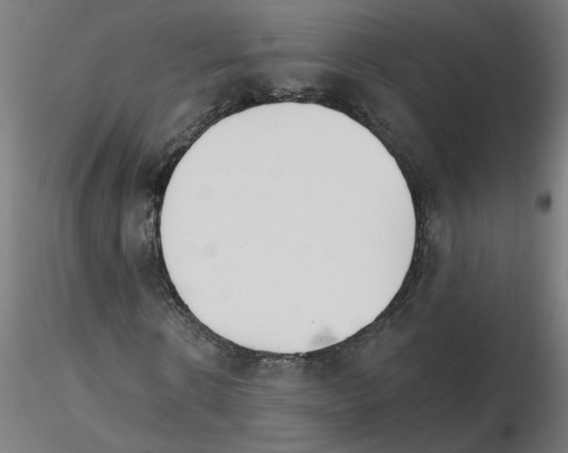 X0000115650914200912221328