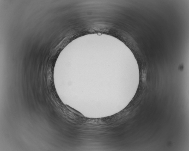 X0000115650915200912221328