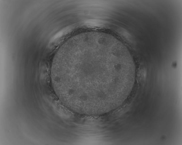X0000115650917200912221328