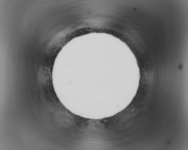X0000115650918200912221328