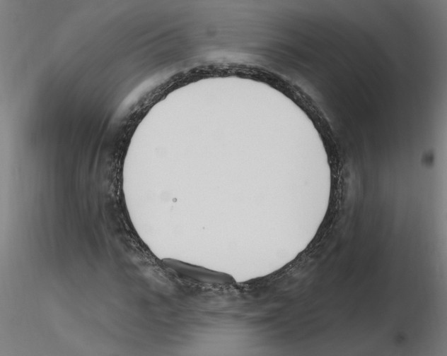 X0000115650919200912221328