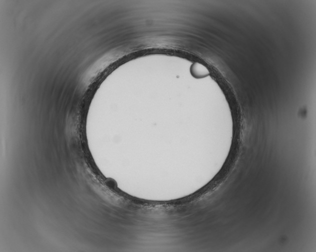X0000115650922200912221328