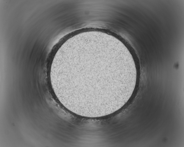 X0000115650923200912221328