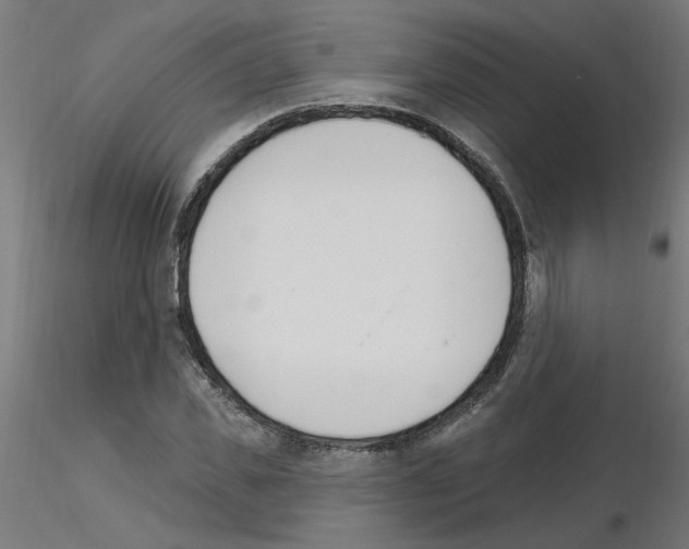 X0000115650925200912221328