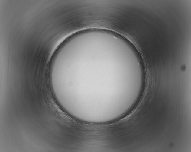 X0000115650926200912221328