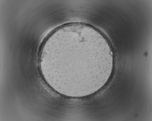 X0000115650927200912221328