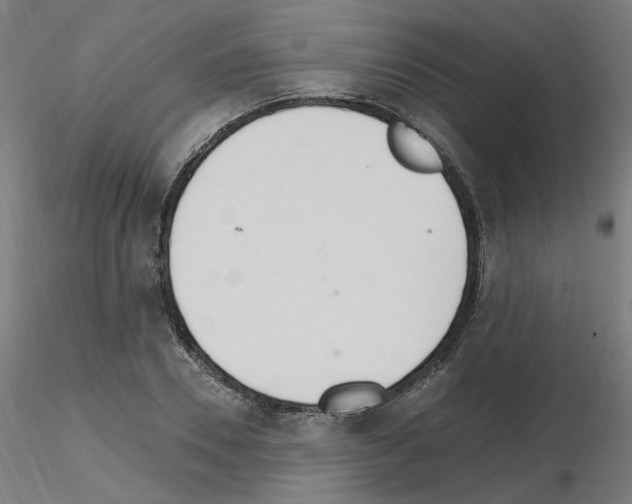 X0000115650930200912221328