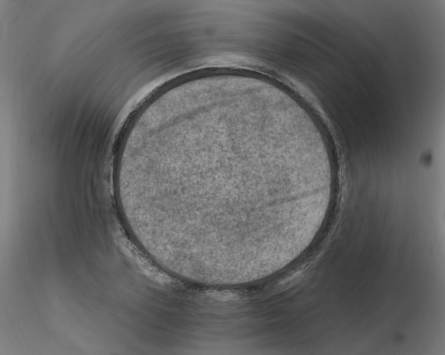 X0000115650931200912221328
