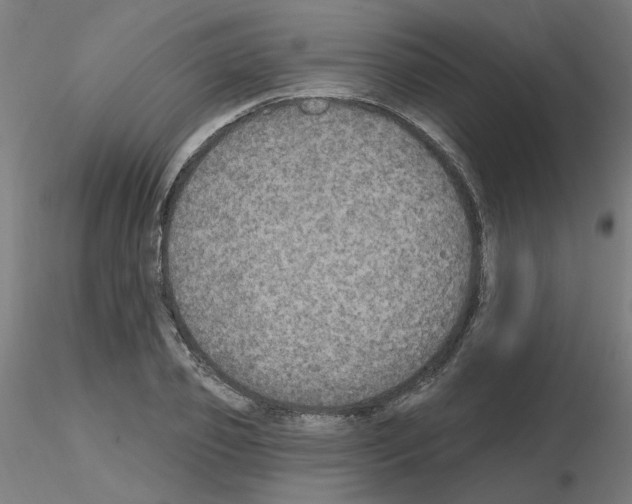 X0000115650933200912221328