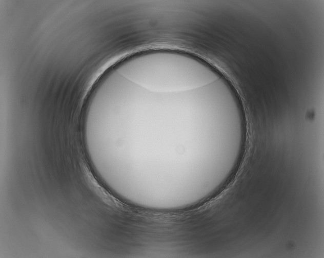 X0000115650934200912221328