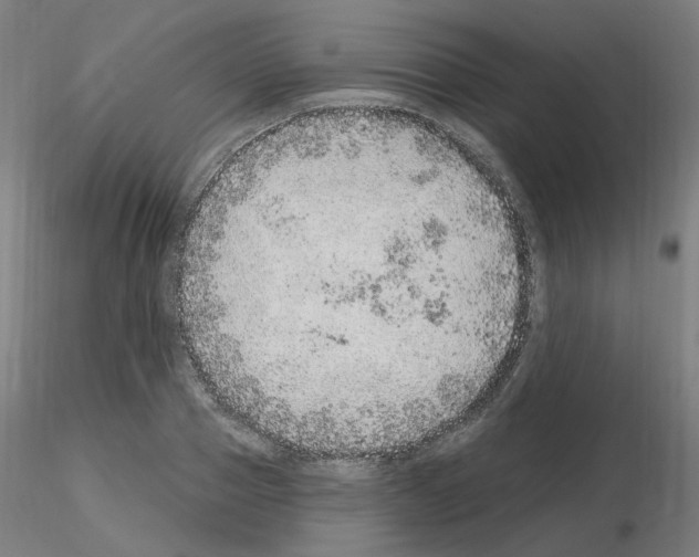 X0000115650937200912221328