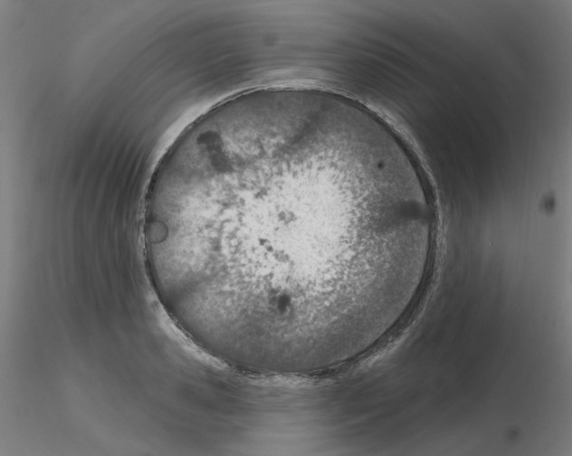 X0000115650941200912221328