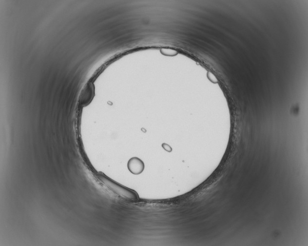 X0000115650942200912221328