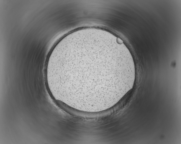 X0000115650943200912221328
