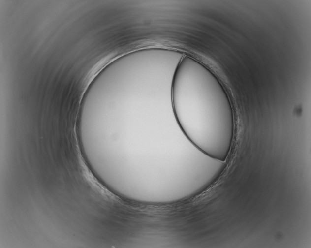 X0000115650946200912221328