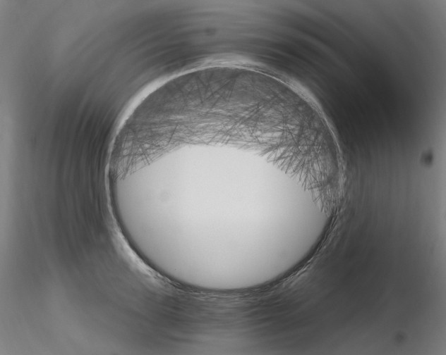 X0000115650947200912221328