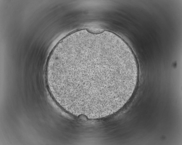 X0000115650949200912221328