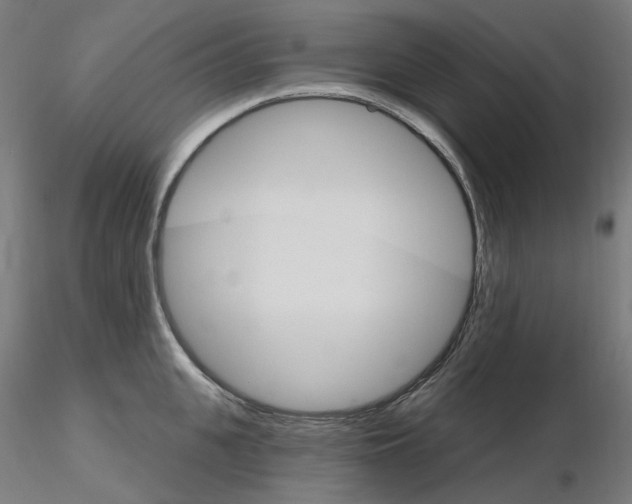 X0000115650951200912221328