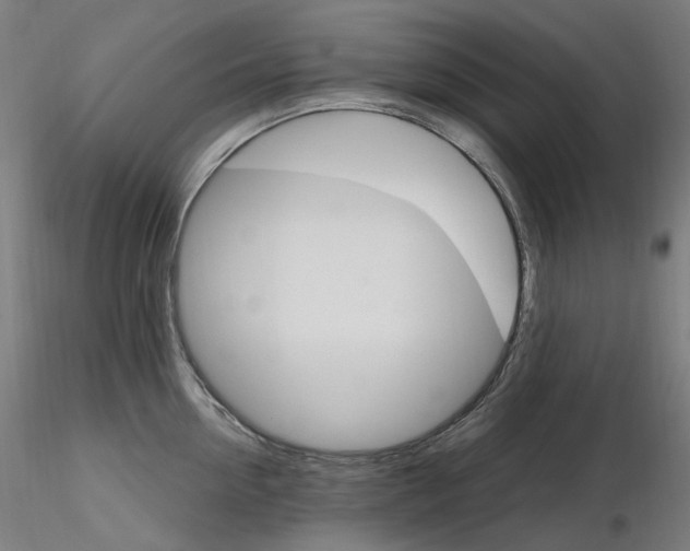 X0000115650954200912221328