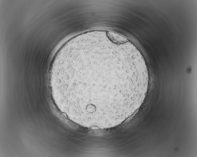 X0000115650955200912221328