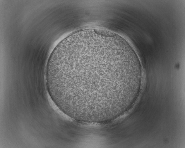 X0000115650957200912221328