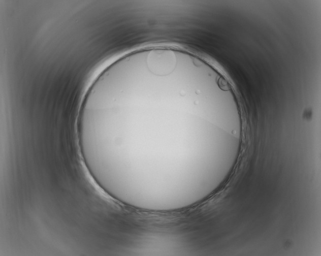 X0000115650959200912221328