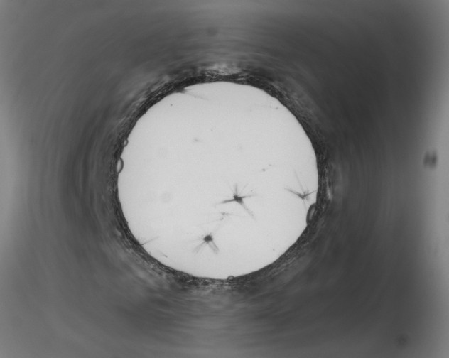 X0000115650961200912221328