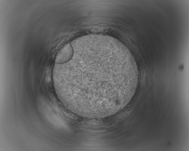 X0000115650962200912221328
