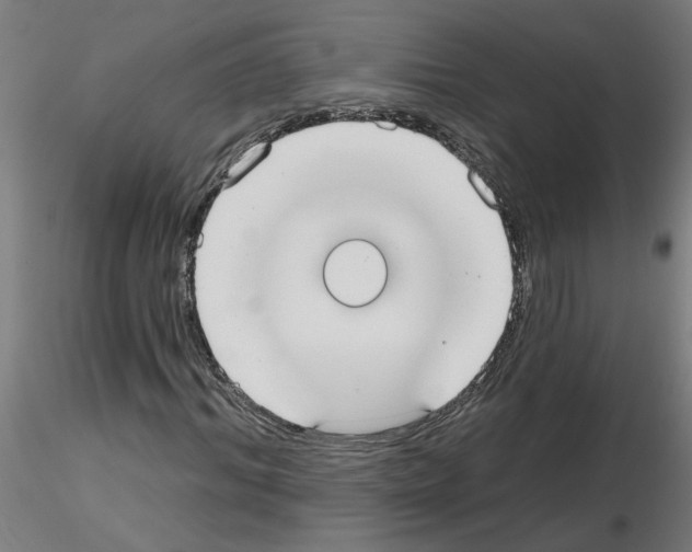 X0000115650964200912221328