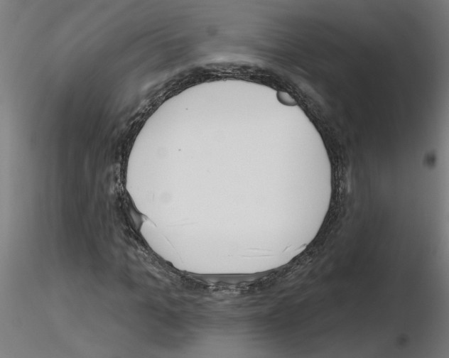 X0000115650965200912221327