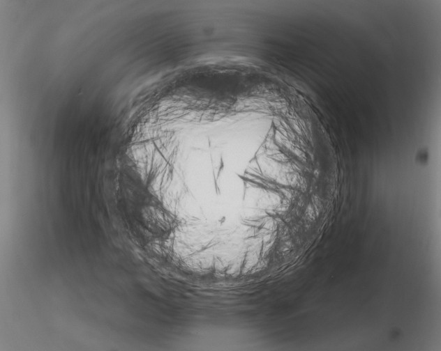 X0000115650966200912221327