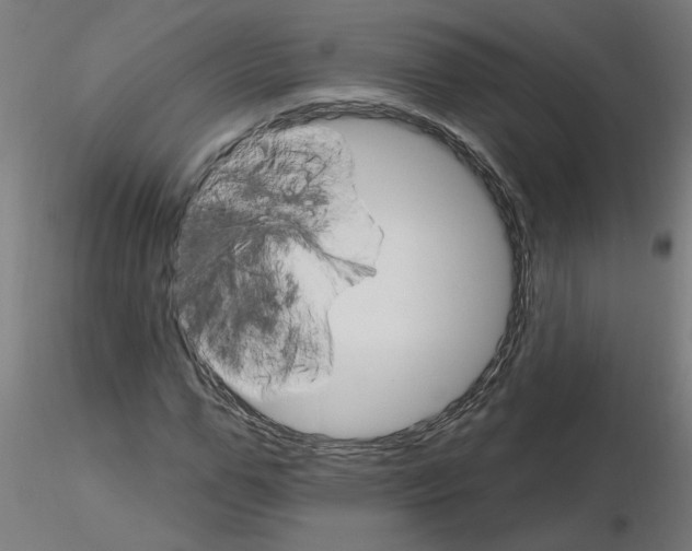 X0000115650967200912221327