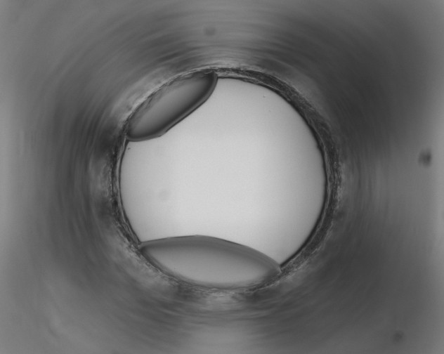 X0000115650969200912221327