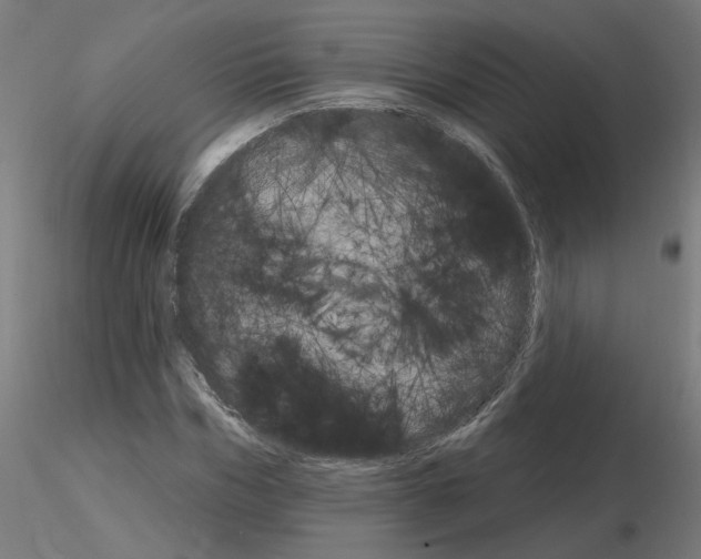 X0000115650970200912221327
