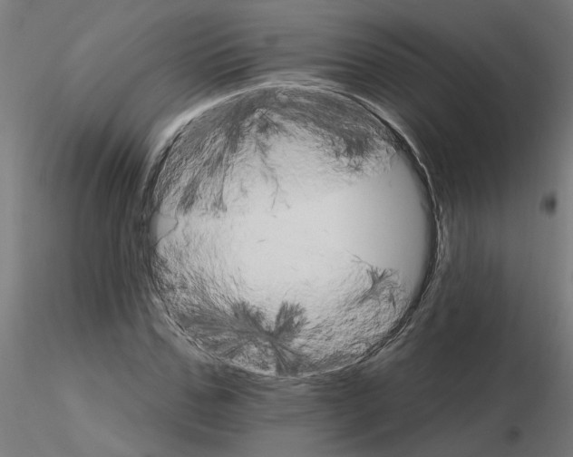 X0000115650971200912221327