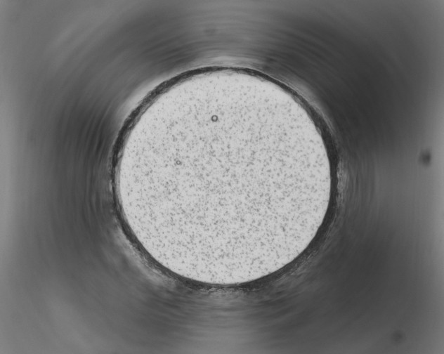X0000115650972200912221327