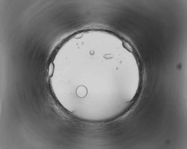 X0000115650973200912221327